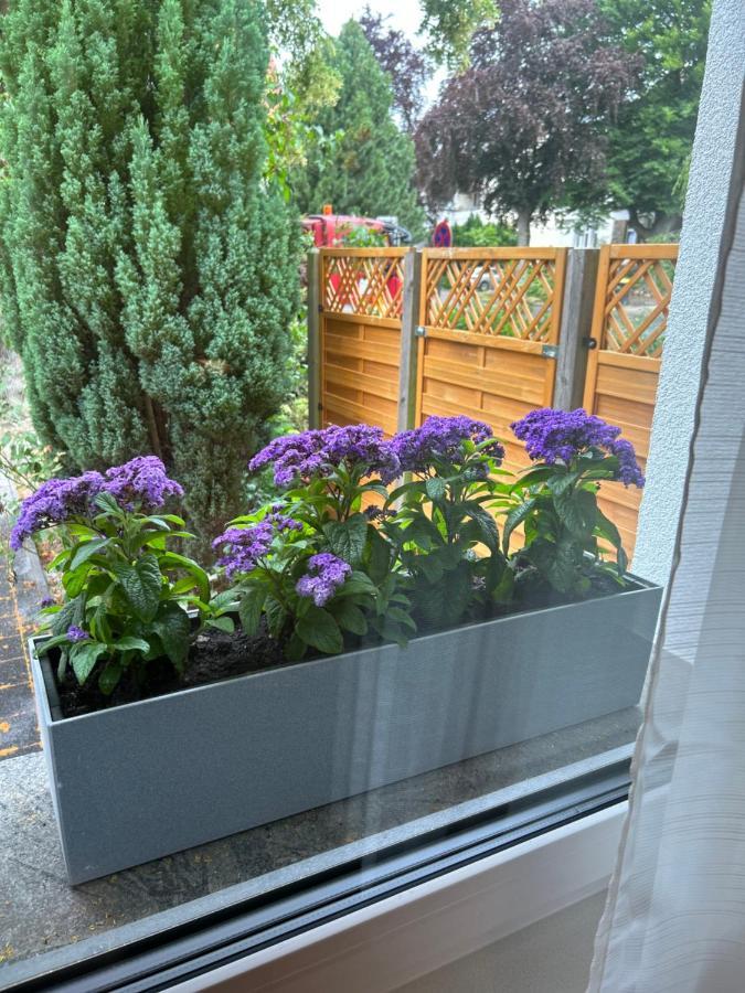 Fewo By Hd Mit Parkplatz, Wallbox, Wintergarten Bad Salzuflen Exteriör bild